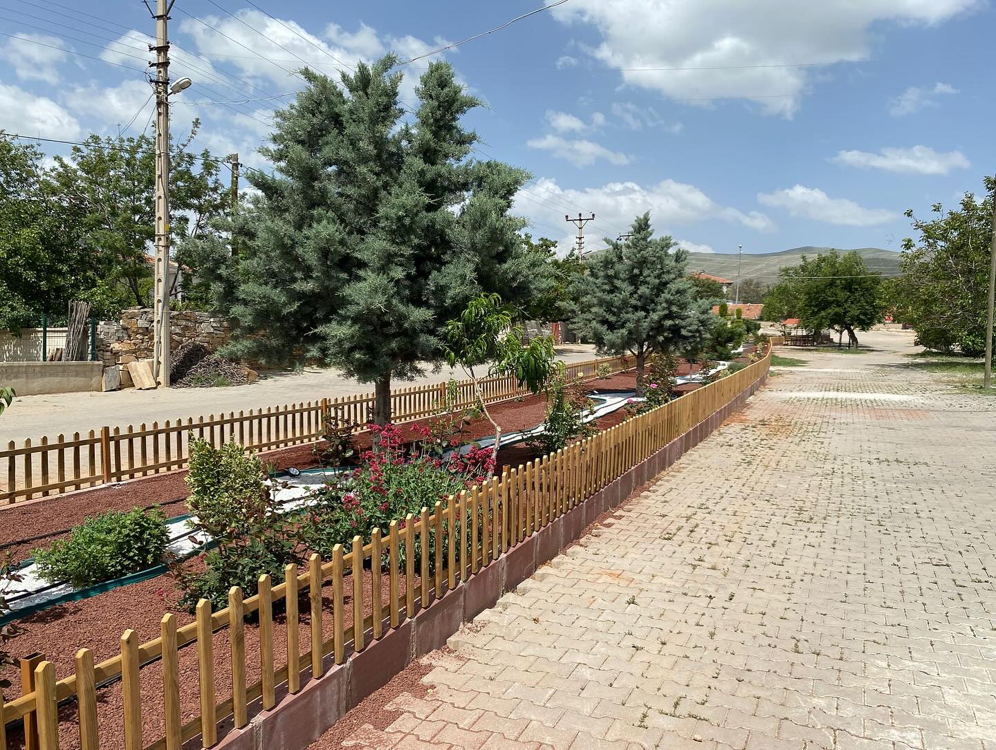 501353403_17945242077004141_7247808320797560184_n